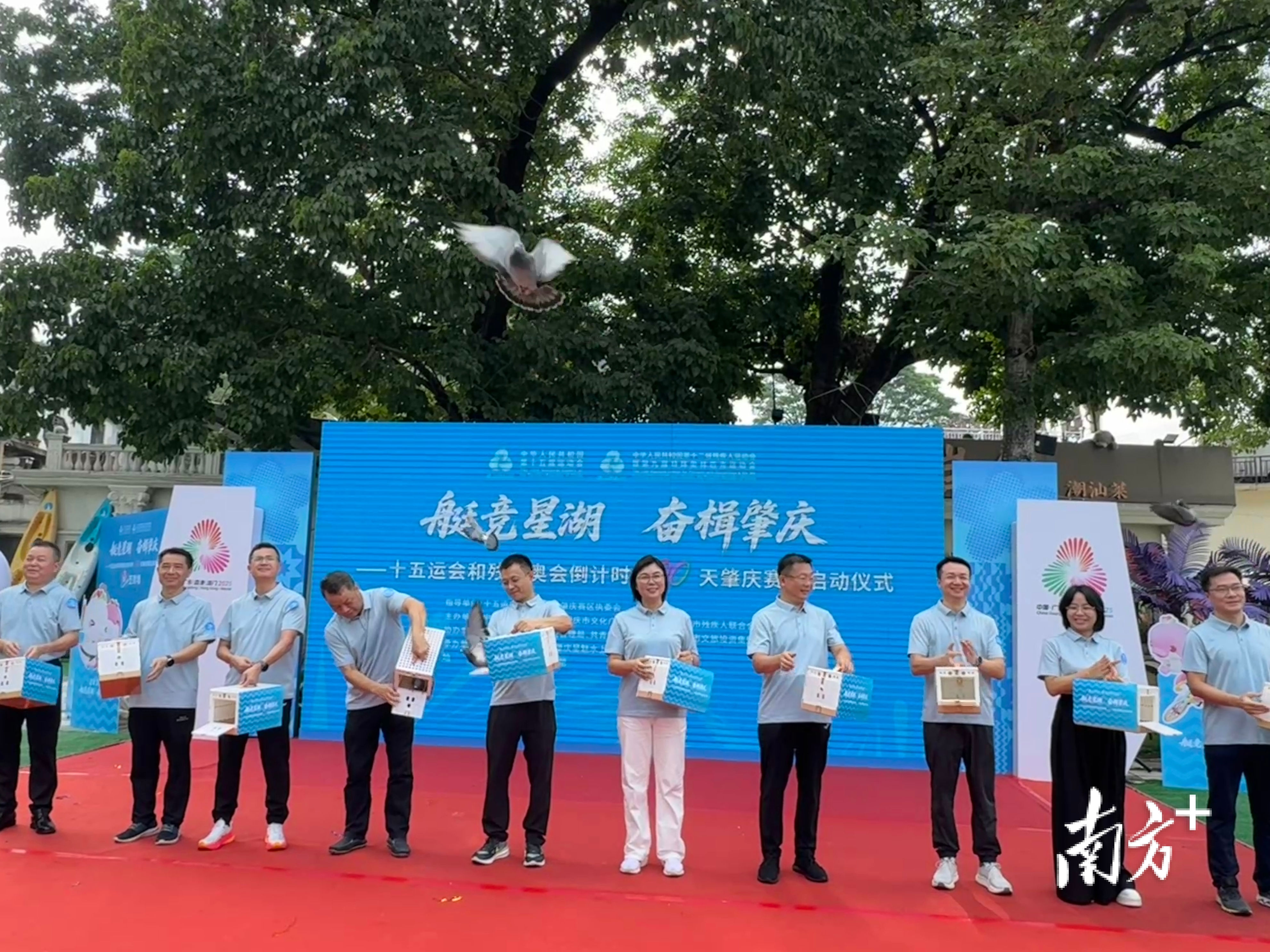 卢舒曼, 确保赛事运