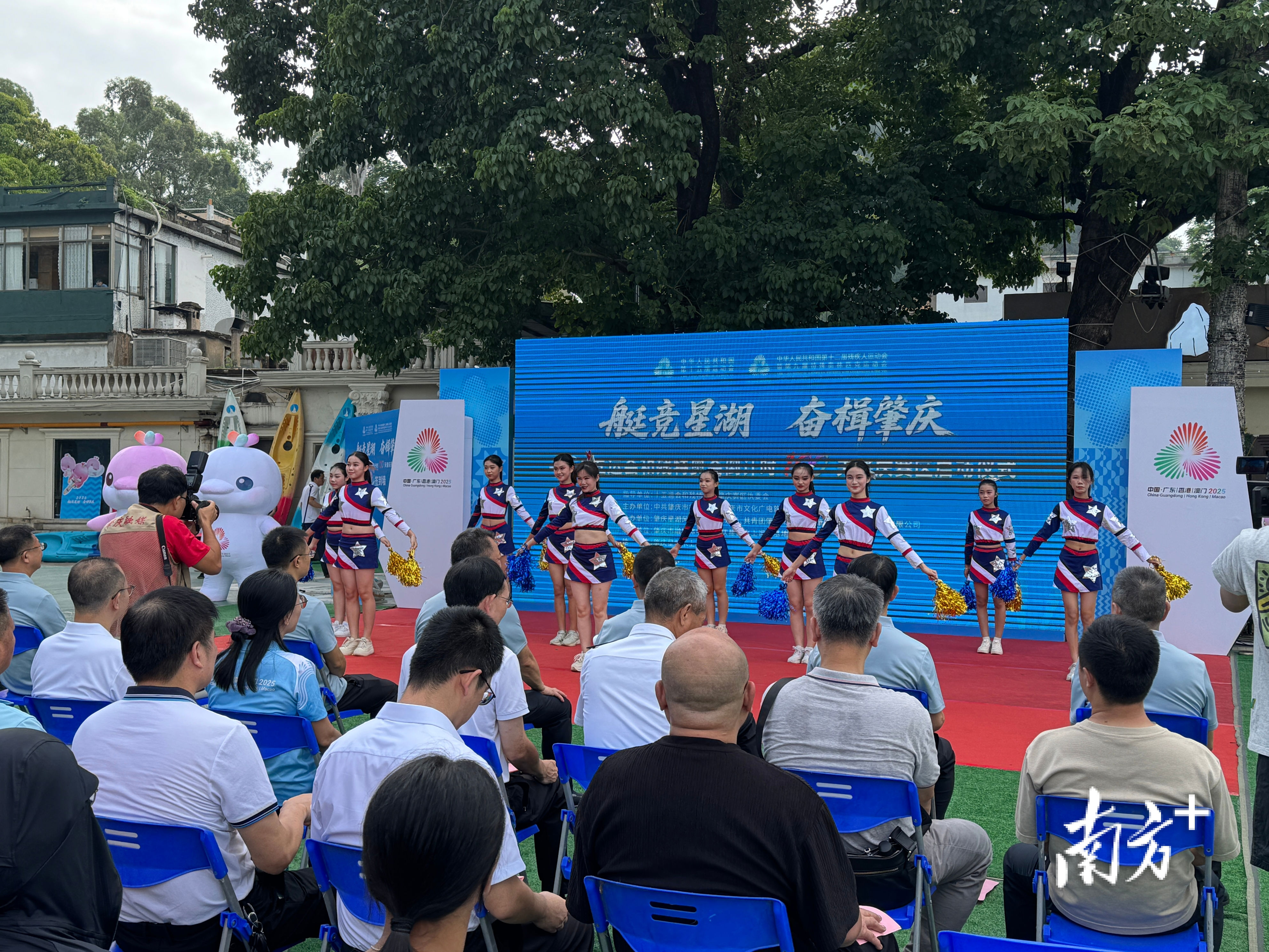 以放飞白鸽, yid