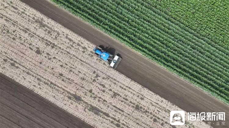 到达比赛主, 余位参赛选