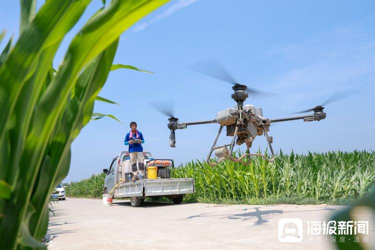 span, 侦支队民警, 斗导航的拖